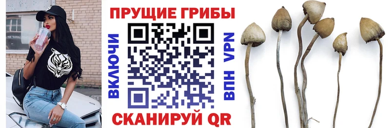 как найти   Никольское  Псилоцибиновые грибы прущие грибы 