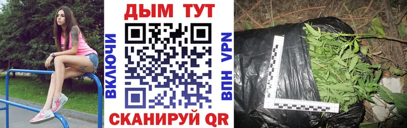 Марихуана план  Никольское 